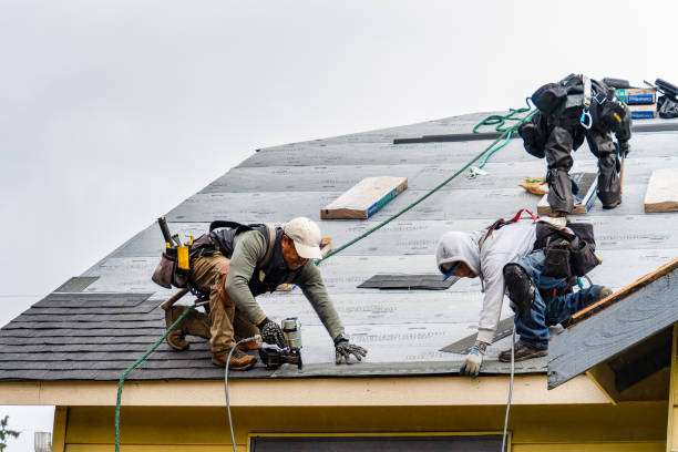 Professional Roof Replacement technician working in Roslindale, MA